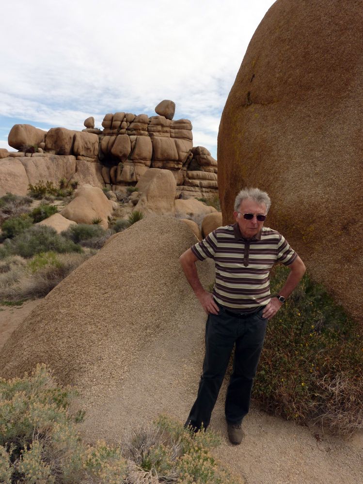 joshua tree national park (38).JPG